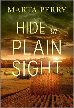 Cover image for Hide in Plain Sight