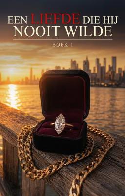 Cover image for Een Liefde Die Hij Nooit Wilde Boek 1: Het Begin