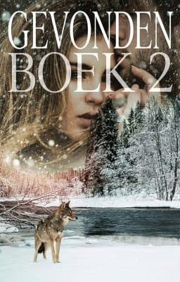 Cover image for Gevonden Book 2