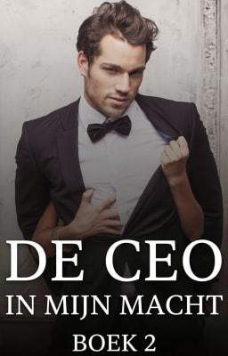 De CEO in mijn macht Book 2