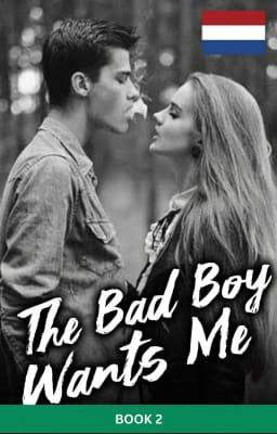 De badboy wil mij Book 2