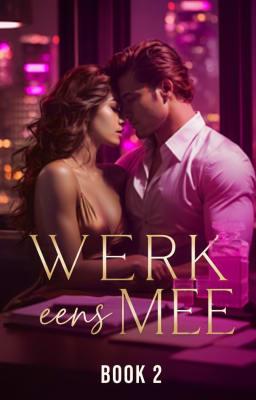 Cover image for Werk eens mee Book 2