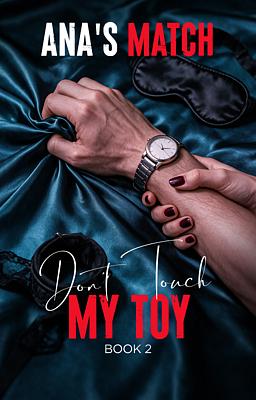 Cover image for Don't touch my toy 2: Ana's match