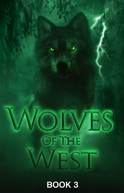 Cover image for Die Wölfe aus dem Westen Buch 3