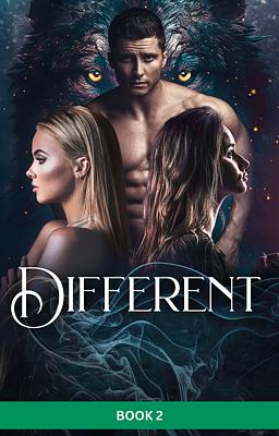 Cover image for Diversi Libro 2