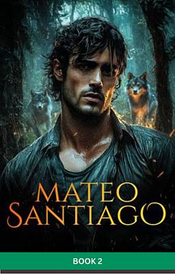Cover image for Mateo Santiago Libro 2