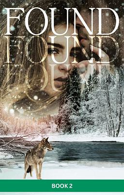 Cover image for De Repente Livro 2