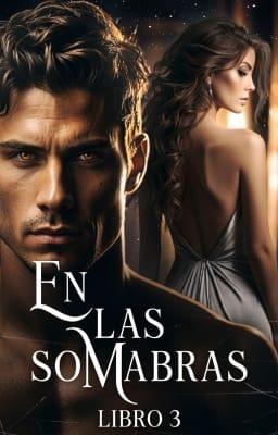 Cover image for En las sombras Libro 3