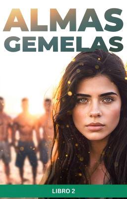 Cover image for Almas Gemelas Libro 2
