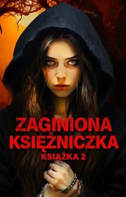 Cover image for Zaginiona księżniczka Książka 2