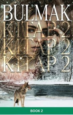 Cover image for Bulmak Kitap 2