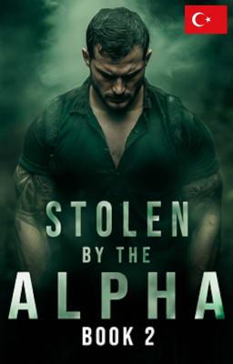 Cover image for Alfa'nın Esiri Kitap 2