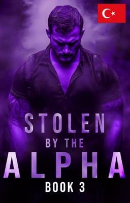 Cover image for Alfa'nın Esiri Kitap 3