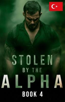 Cover image for Alfa'nın Esiri Kitap 4