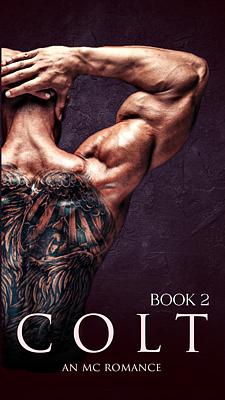 Cover image for Colt Kitap 2