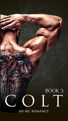 Cover image for Colt Kitap 3