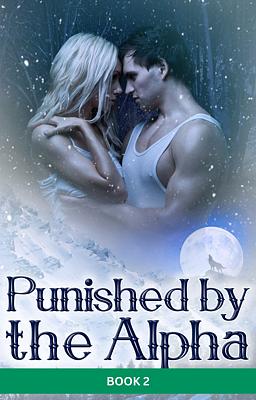 Cover image for Punie par l'alpha Tome 2