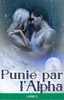 Cover image for Punie par l'alpha Livre 2