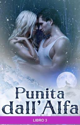 Cover image for Punita dall'alfa Libro 3