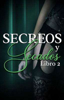 Secretos y pecados Libro 2