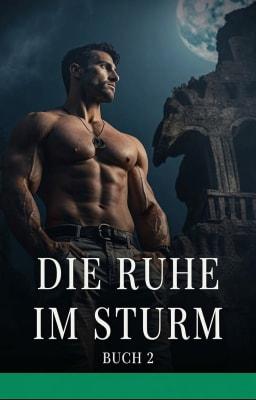 Cover image for Die Ruhe im Sturm Buch 2
