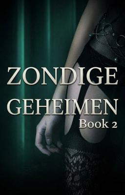 Zondige geheimen Book 2