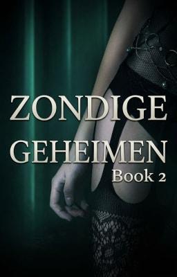 Zondige geheimen Book 2