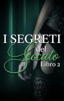 Cover image for Sin - I segreti del peccato Libro 2