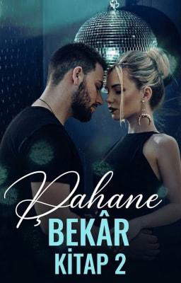 Şahane Bekâr Kitap 2