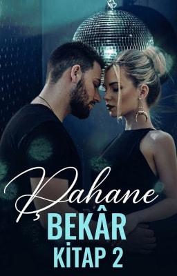 Cover image for Şahane Bekâr Kitap 2