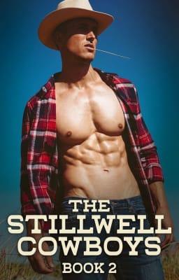 Cover image for The Stillwell Cowboys (Nederlands) Book 2