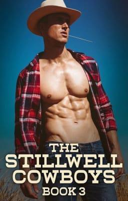 Cover image for The Stillwell Cowboys (Nederlands) Book 3
