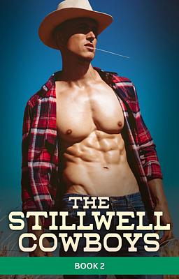 Cover image for Les Cowboys de Stillwell Tome 2
