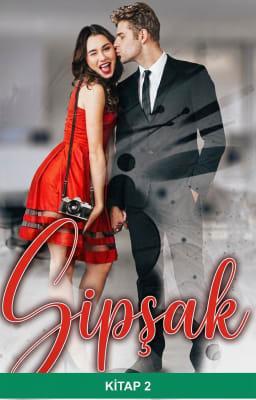 Cover image for Şipşak Kitap 2