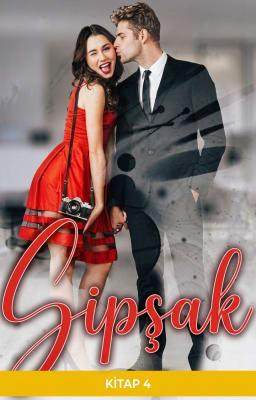 Cover image for Şipşak Kitap 4
