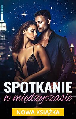 Cover image for Spotkanie w międzyczasie