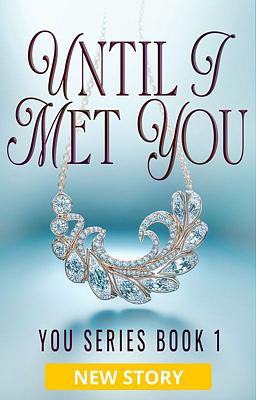 You Series Book 1: Until I Met You